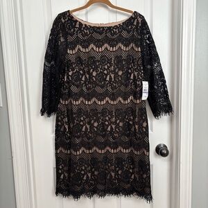 Black Lace Dress | Jessica Howard 18 | Elegant Sheath